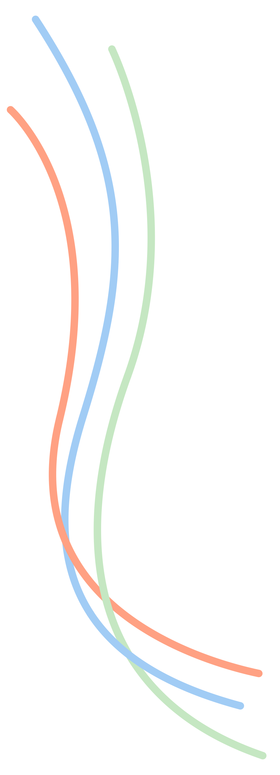 Right Vine Main