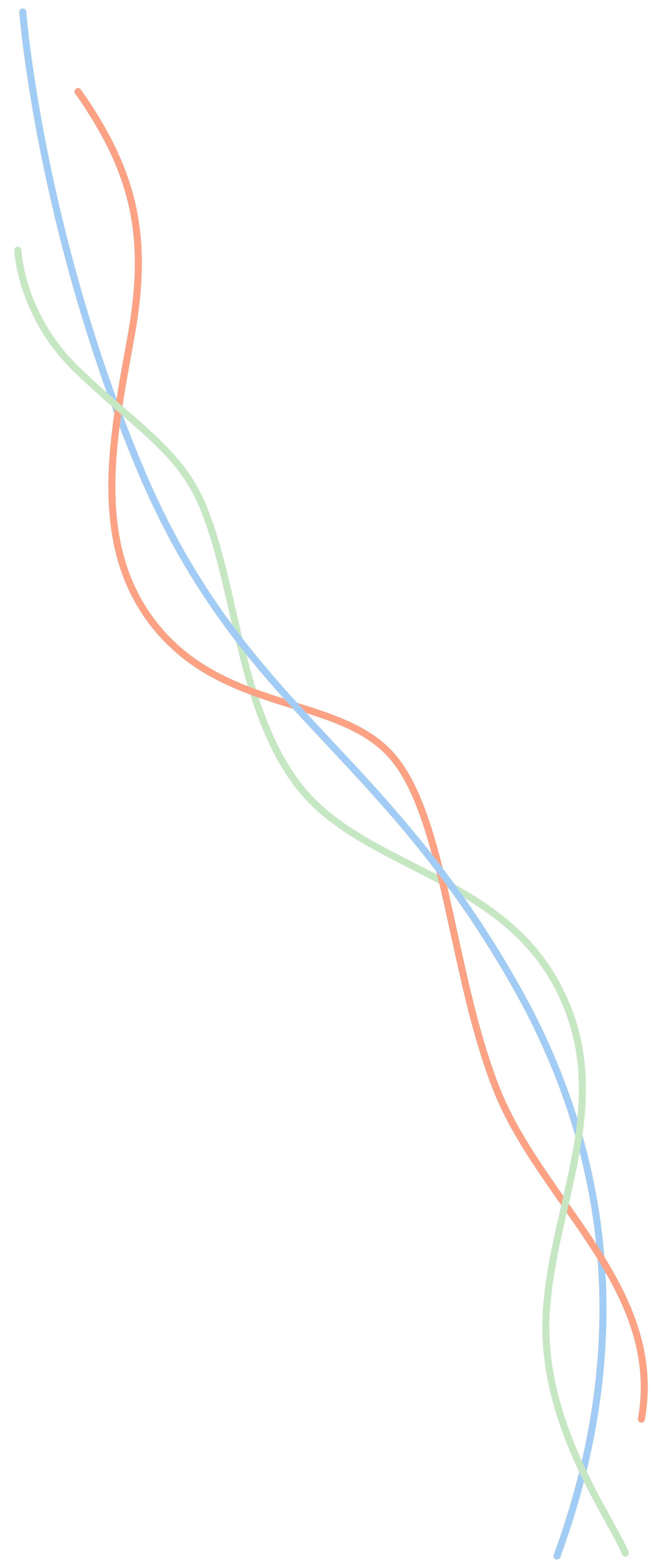 Left Main Vine